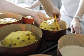 colomba / panettone