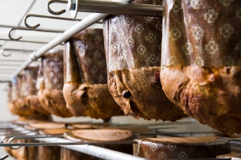 colomba / panettone
