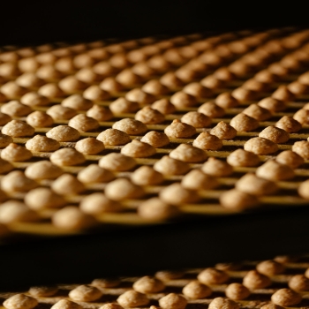 nocciolini 28g