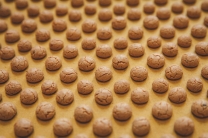 nocciolini 28g
